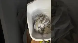 How to get rid of crusty deodorant stains #asmr #oddlysatisfying