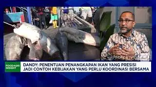 Bikin Nelayan Sejahtera Seperti Petani, Pemerintah Bangun Kampung Nelayan