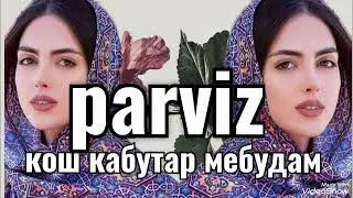 Parviz кош  kабутар мебудам