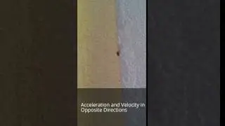 Acceleration and Velocity in Opposite Directions
