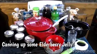 ~Canning Elderberry Jelly (Sure Jell Way!)~