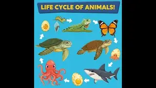 Life cycle of animals,Education for kids, AI Technology,kids funny videos