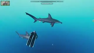 BEYOND BLUE | #3