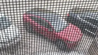 Mustang Mach E review, charging prices, charging differences, cold climate driving takes half energy