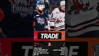 OHL Trade Alert🚨 #ohl #ohlhockey #flintfirebirds #niagaraicedogs #hockey #chl #juniorhockey