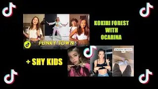 Funky Town vs. Shy Kids TikTok (Kokiri Forest with Ocarinas) [Fre3 Fly Mash-up]