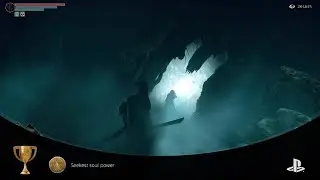 Demon's Souls Seekest Soul Power Trophy