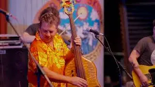 The Blue Dogs-