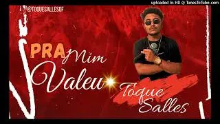 PRA MIM VALEU TOQUE SALLES a voz que toca o cora&ccedil;&atilde;o 💔🎵