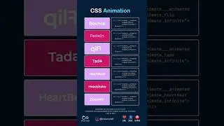 Some cool Animation with animate.css 