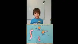 Earthworms: lifecycle and habitat