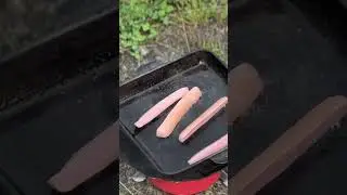 Яичница с сосисками 👍👍😂🍳🍳#youtube #youtubeshorts #camping #mountains #carpfishing