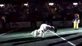 Reading Express Mascot Night