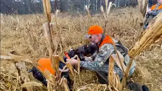 Hunting the ELUSIVE ring neck PHEASANT!!!
