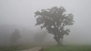 Hartn&auml;ckiger Nebel und Hochnebel