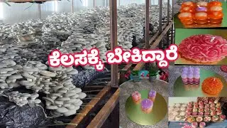 mushroom farming in india business plan |ಕೆಲಸಕ್ಕೆ ಬೇಕಿದ್ದಾರೆ|Marketing Update|Harbal Soap Available