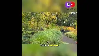 Джиннитти посещает японский сад в Орегоне 🌸💬