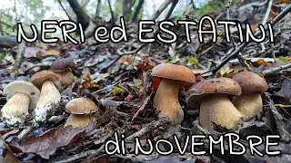 NERI ed ESTATINI di NOVEMBRE