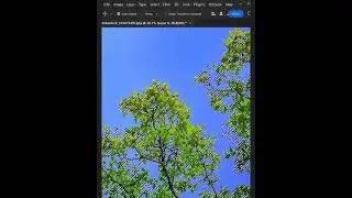 How to Remove Background in Photoshop #tutorial  #madewithphotoshop#shorts