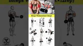 Biceps workout | biceps workout with dumbbells | biceps | Best Bicep workout #biceps #bicepworkout