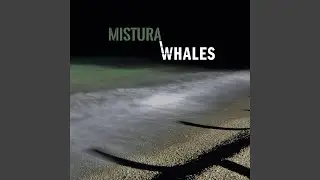 Whales
