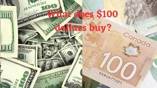What Will $100 Buy? #whatdoes100buy #collaboration #inflation #sales #howtoshopbetter #usa #canada