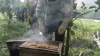 Mẹo nhận biết chúa đi giao cấu về hay mất