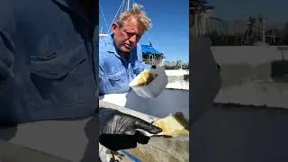 Adding the swim platform to my boat hull extension to add additional structural strength