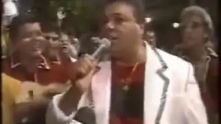 Dominguinhos da Est&aacute;cio   Samba de 1995