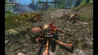 Skyrim SE (Fully Modded) - Long Trip Ahead to Rescue Last of the Five Wenches Part 1 of 2