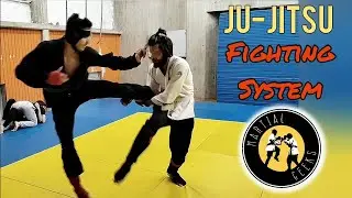 Ju-Jitsu Sparring | Fighting System Rules #jujitsu #jiujitsu #judo #karate #sparring #martialarts