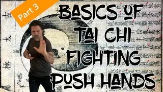 Basics of Tai Chi Fighting: Push Hands (3)