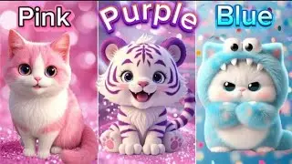 Choose your gift #chooseyourgift #gift #pink #purple #blue 