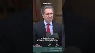Ирландия официально признала государство Палестина