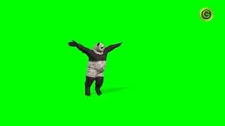 Panda Dancing Green Screen HD (2025)
