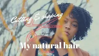 Cutting and Shaping my Natural Hair | inDchronicals