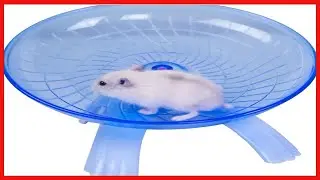 Wontee Hamster Flying Saucer Silent Running Exercise Wheel for Gerbil Rat Mouse Hedgehog