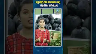 Blueberry for Antioxidants  | Telugu Popular TV Health #ytshorts