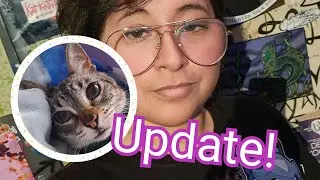 Update, life, health, work and kitty 