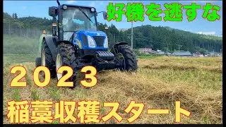 【稲藁収穫】2023 稲藁収穫スタート