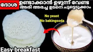 നല്ല പഞ്ഞി പോലുള്ള സോഫ്റ്റായ അപ്പം വേണമോ? ഇതുപോലെ ചെയ്യൂ| Soft&Spongy Appam Recipe#appam#tips