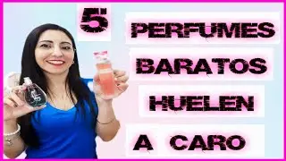 ✅5 PERFUMES BARATOS QUE HUELEN A  PERFUMES CAROS~Morolove