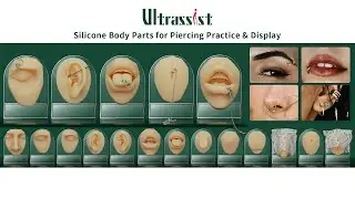 Silicone Body Parts for Piercing Practice & Display