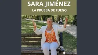 Destello de Hojalata
