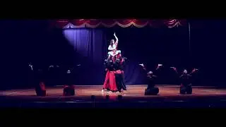 Z-524 Dance Screening Video for ZoNASA 2017