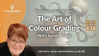 The Art of Colour Grading: Highlights from Sandra Dann's Creative Workshop Series.