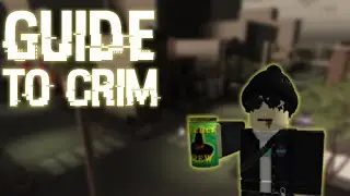 GUIDE TO CRIMINALITY ( for noobs )