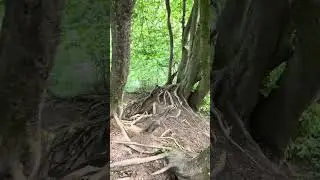 Oermter Berg in Rheurdt - Promotion einer 8-J&auml;hrigen