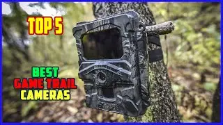 TOP 5 Best Game Trail Cameras 2025