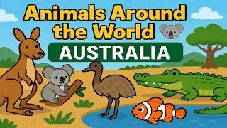 Learning! ''Animals Around the World | Australia | Educational Videos for Kids